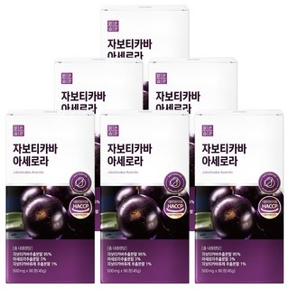 맑은습관 자보티카바 아세로라, 6개, 90정