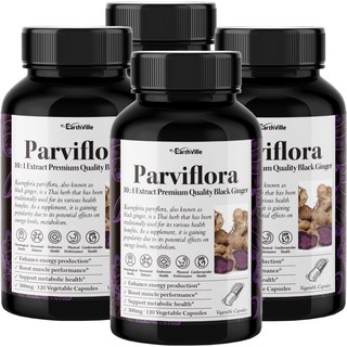 어스빌 파비플로라 흑생강 10배농축 추출물 500mg 베지캡슐 4개월분, 4개, 120정