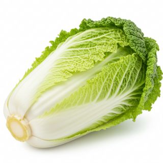 [청정지역] 고랭지에서 키운 햇 알배기 알배추 쌈배추, 1.65kg, 1박스, 3통 특품-쌈배추