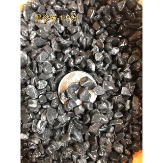造景黑珍珠石 鵝卵石 黑色 1.2分 1公斤 陽台園藝裝飾