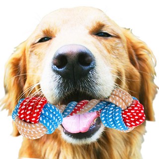 애견장난감 애견 치발기 씹는놀이 치아건강 장난감 강아지장난감, 색상랜덤