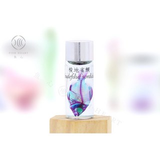 魚心標本藝術 透明生物標本 - 梭地雀鯛 Abudefduf sordidus 網路限定 海洋生物標本, 1個