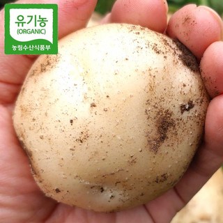 [프리미엄 유기농 수미감자] 국내산 강원도 홍천 유기농 햇 감자 유기농 인정 노지에서 키운 프리미엄 감자 수확 배송, 1개, 프리미엄 2kg (혼합)