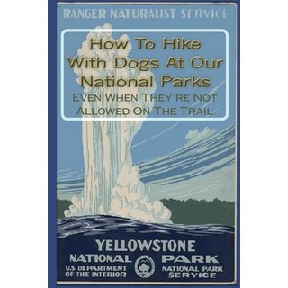 (英文圖書)How To Hike With Dogs At Our National Parks - Even When They're Not Allowed On T... 平裝版, Cruden Bay Books, 英文