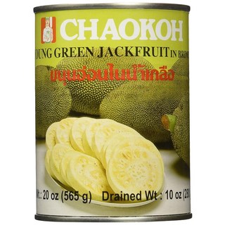 Young Green Jackfruit in Brine - 슬라이스 5915ml20온스 [호환]