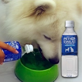 강아지 음료수 이온 수분 보충제 500ml 1P 산책 필수 강아지간식 강아지이온음료 강아지음료수