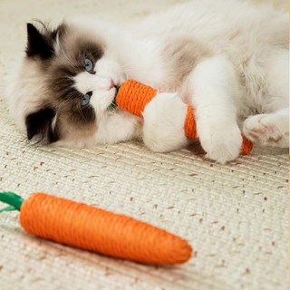 슈슈펫 고양이 장난감 당근 이갈이 스크래처 대형2개 소형 2개, 1세트, 오렌지
