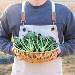 산지직송 시금치 1kg 2kg 4kg 농산물마루, 1개, 500g