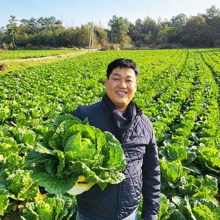 [시골마당] 아삭아삭한 해남절임배추 20kg 90일배추, 쿠팡에 보이는 도착일