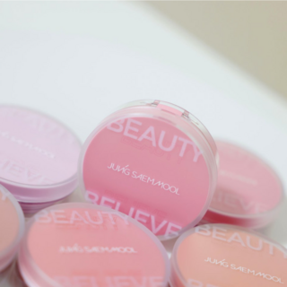 [단독]MINI 정샘물 아티스트 쿠션 블러쉬 or 블러쉬 블러, 1개, 블러쉬 미니 #메리핑크