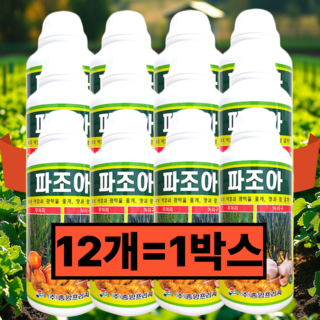 [시골생활 비료] 대파 영양제 비료 파 쪽파 대파전용 파전용 쪽파전용 마늘 양파 생강 대파 잎마름 잎끝마름에 집 대파키우기 텃밭 파조아, 12개, 1L