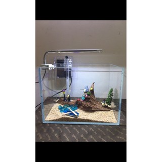 邦邦水族 龍貓的天空 超白套缸組 超白缸, 1個