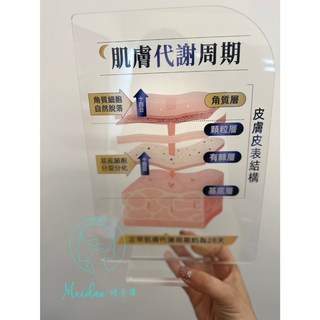 (台灣現貨)肌膚代謝週期說明壓克力立牌/醫學美容/皮膚講解牌, 肌膚代謝週期說明壓克力立牌, 1個