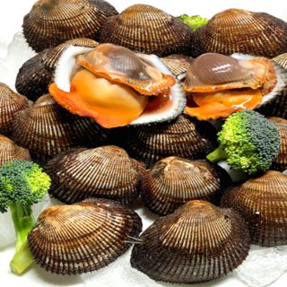 피꼬막 (전라남도 여자만 알이꽉찬 특품 2kg), 1개