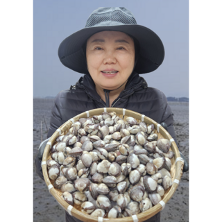 [상위1%] 산지직송 국내산 벌교 새꼬막 여자만, 1개, 1kg(특대70미내외)새꼬막