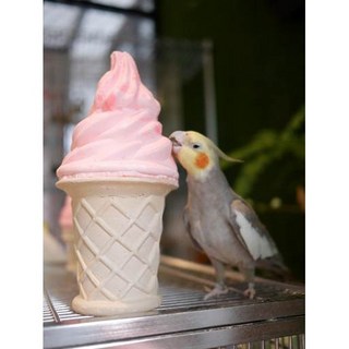 金瑞成鳥園 冰淇淋棲木 - 礦物質補充、幫助消化、增強免疫系統, 1個, 小尺寸