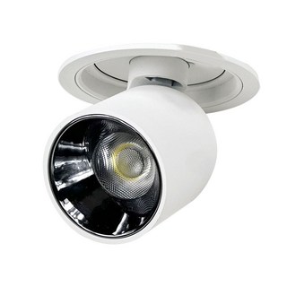 데이온 스포트 라이트조명 올뷰 360도 회전 COB타입, 1개, 주광색