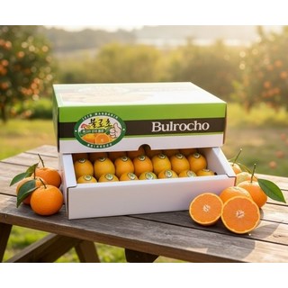 달콤신선 제주 불로초 감귤 밀감 로얄과 선물용, 3kg