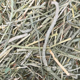 愛兔草 NEW! 優質提摩西一割(T1) 梗多葉少 牧草 提摩西 兔子牧草 天竺鼠 龍貓 過篩 寵物牧草, 1個, 有過篩【梗葉各半】提摩西一割500g
