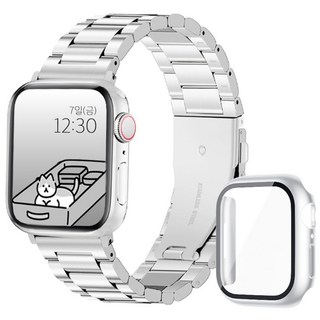 아이비온 애플워치 메탈 스트랩 40 44 + 풀커버 케이스 세트, 퓨어실버