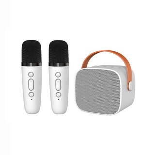 無線雙麥克風藍牙音響組合 便攜式K歌神器 家庭聚會歡唱必備, 白色, P2