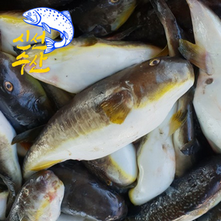 [산지직송]탱글하고 쫄깃한 복어살의 진수 담백하게 씹는 즐거움 손질밀복, 1박스, 4kg (4-8미 내외)