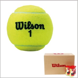 윌슨 챔피언쉽 시합구 1박스 36캔 테니스공, 36개