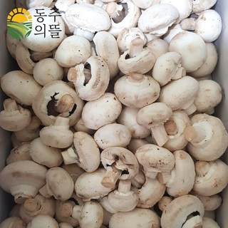 [농장직송] 보령 못난이 양송이버섯 파지 2kg, 1개