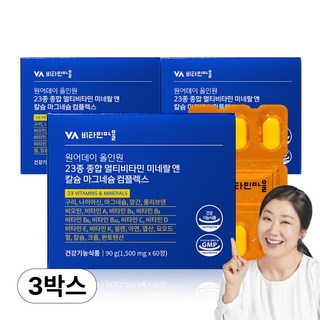 비타민마을 원어데이 올인원 23종 종합 멀티비타민 미네랄 앤 칼슘 마그네슘 컴플렉스, 3개, 60정