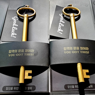 마보앤할로 행운의 열쇠 볼펜 합격볼펜 수능 단체 선물 중학생 고등학생, 2개, 합격의 문을 열어라(1개)
