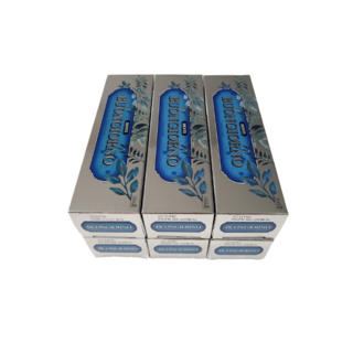 덴티본조르노 치석케어 치약, 100ml, 100g, 6개