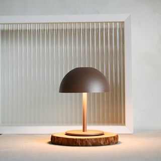 MONSTER LIGHT 미니코코 충전식 터치식 미니 포터블 버섯 LED 램프 수유등 무드 단스탠드 책상조명, 코코아