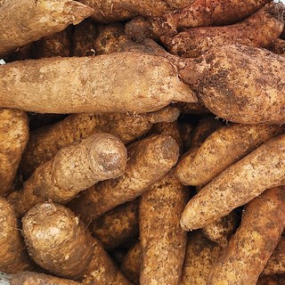 강원도 홍천 자연산 생 천마 국내산 생천마 1kg, 1개