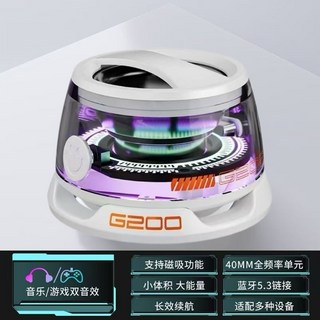 G200 藍牙便攜式音箱，高音質迷你低音炮，戶外磁吸式, 1個, 銀白色【磁吸丨氛圍燈丨5.4藍牙】超能續航款【12k杜比跨境特銷】
