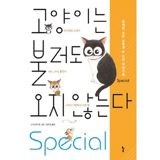 貓咪即使呼喚也不來 特別版：共度的所有日子與未盡的故事, 늘