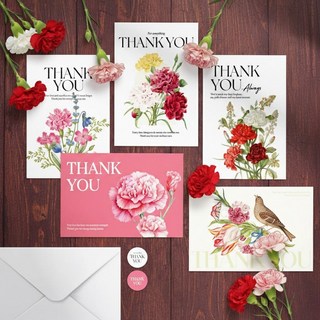 감사 카드 카네이션 엽서 봉투 스티커 5종 세트