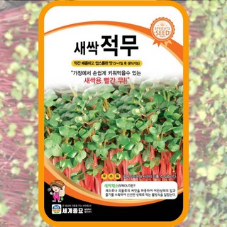 새싹적무 씨앗 홍무새싹 채소종자 800립 새싹키우기, 1개