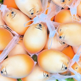 狗蛋柴犬雞蛋 柴柴造型擺件 交換禮物 生日禮物 無聊小玩具, 1個, 軟狗蛋