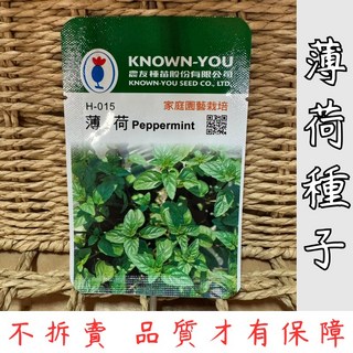 台灣現貨-天天出 薄荷種子 香草植物 種子 芳香薄荷 室內陽台栽種 易種植 高發芽率 家庭園藝 蔬菜香草, 薄荷種子 (1包 約100粒)