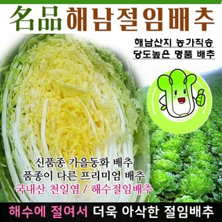 (해남산지직송) 30년배추농사 프리미엄품종 절인배추 김장배추 명품해남절임배추 20kg (11월6일부터 출하됩니다.), 1박스, 01-19(월)도착, 해남절임배추