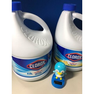 CLOROX 高樂氏漂白水，有效去除污漬，殺滅細菌，居家清潔好幫手, 1個, 2.8L