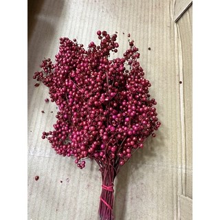 進口乾燥胡椒果(原裝把) 花藝設計 天然乾燥 獨特果實, 1個, 糖果紅