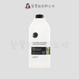 juliArt 覺亞 沁涼茶樹洗髮精 蓬鬆豐盈版 控油蓬鬆, 1個, 超涼薄荷迷迭香洗髮精1000ml
