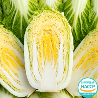 속이꽉찬 해남 절임배추 국산 전라도 배추 천일염사용 김장배추 HACCP, 출고, 1개, 10kg