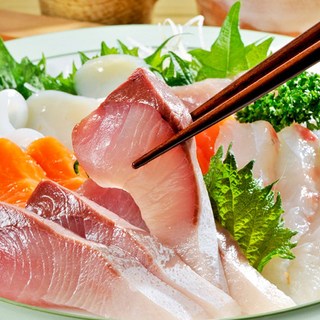 10kg급이상 당일손질 돼지방어 대방어 회 택배 필렛+초장+김, 대방어회 필렛(8-9kg급/모둠/초장+김), 1세트, 300g