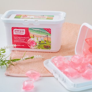 센트오라 캡슐세제 체리블라썸 벚꽃향 올인원 중성세제, 4개, 50개입