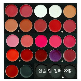 JX Professional 메이크업 국가자격증 입술 립컬러 3g 22색 컬러 단품, 1개, R9