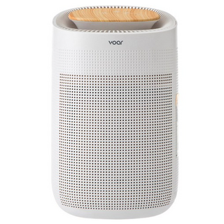 보아르 모아M1000 원룸 욕실 드레스룸 습기제거 공기청정 제습기 750ml VO-DH002-1, VO-DH002-1 (헤파필터/KC인증)