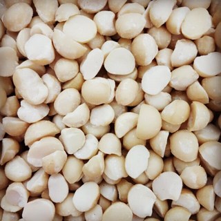 低溫烘焙 澳洲原味夏威夷果, 1個, 600g/一斤