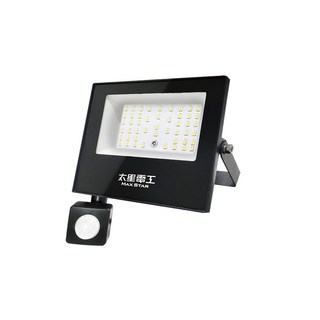 太星電工 MAX STAR LED感應投射燈 30W - 戶外感應燈/露營燈/工作燈, 1個, 30W感應燈